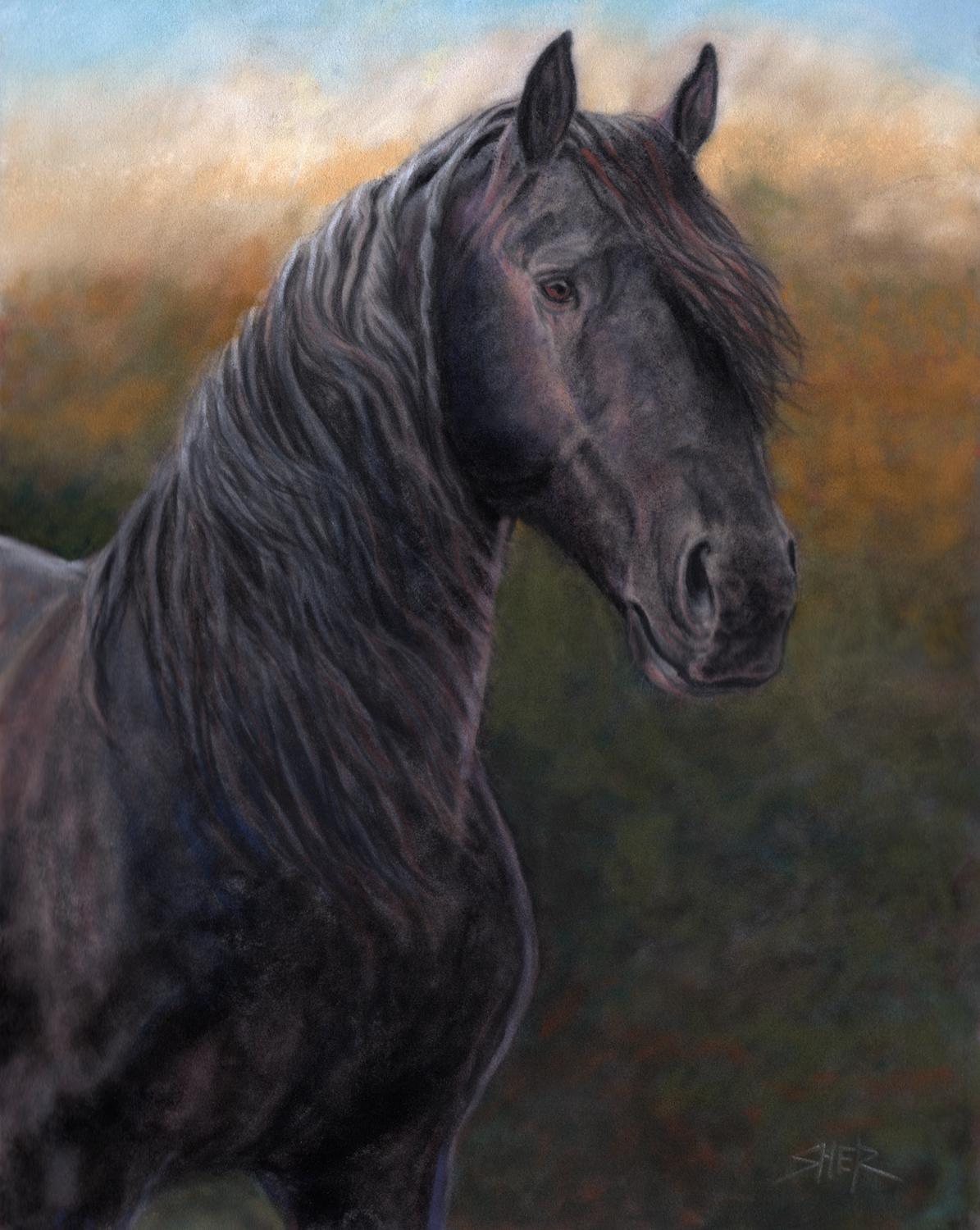 Friesian Horse Painting by Sheri Gordon