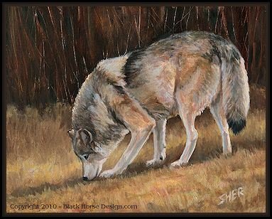 Wolf Oil Painting by Sheri Gordon